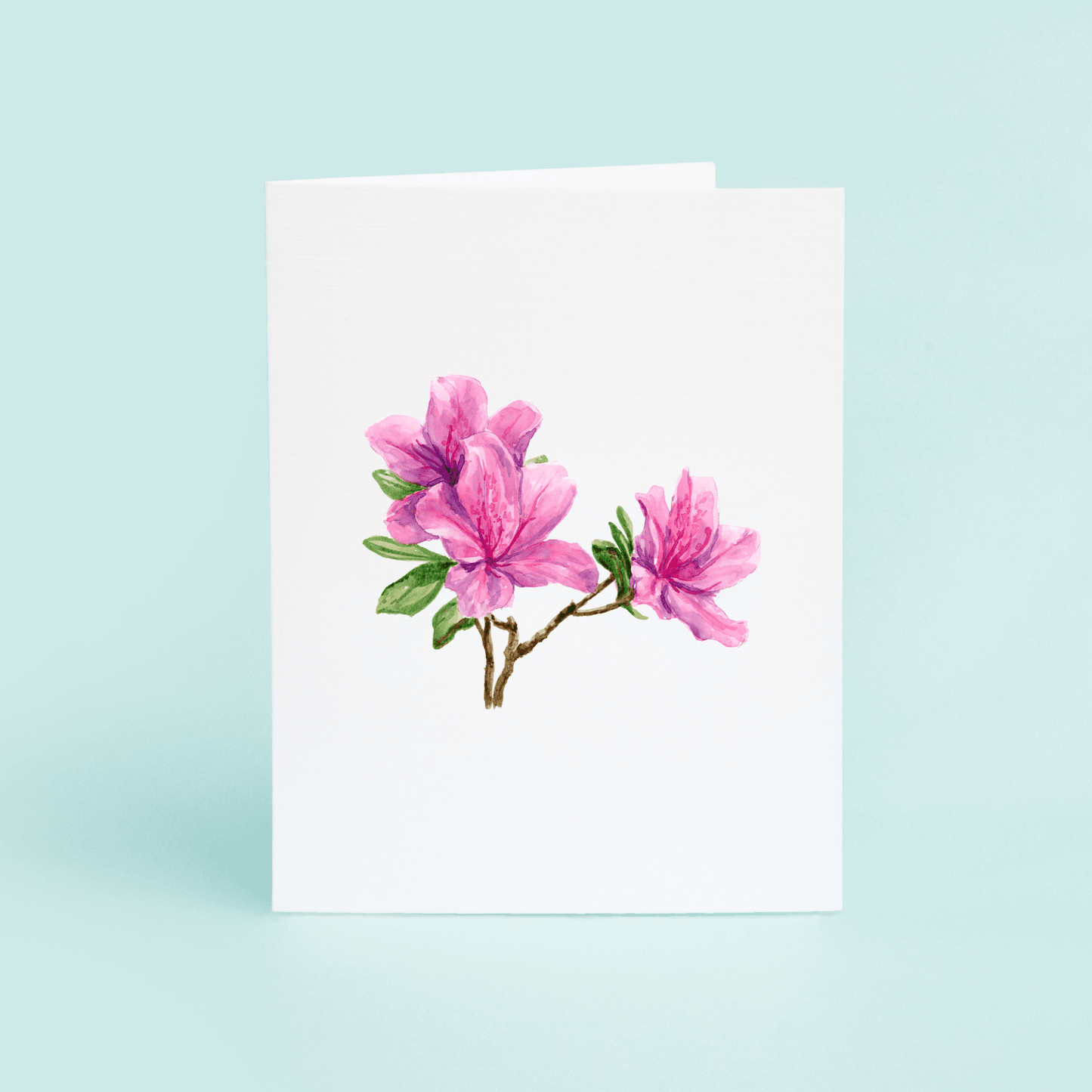 Azaleas - themonogram manor 