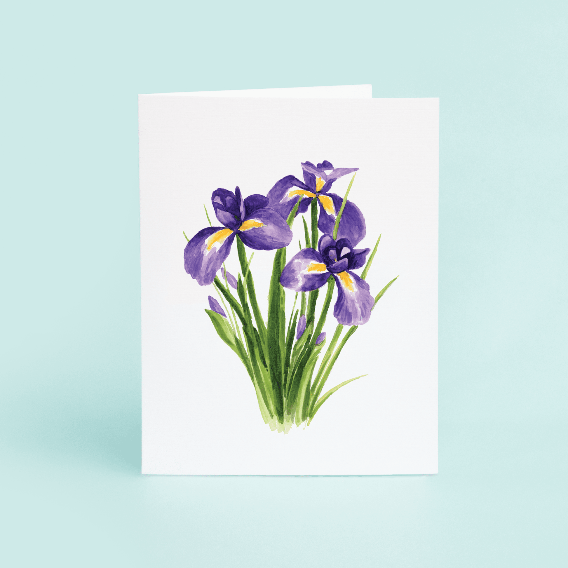 Louisiana Iris - themonogram manor 