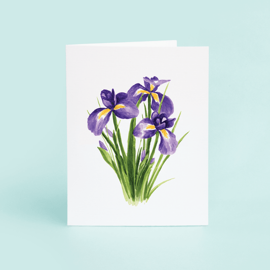 Louisiana Iris - themonogram manor 