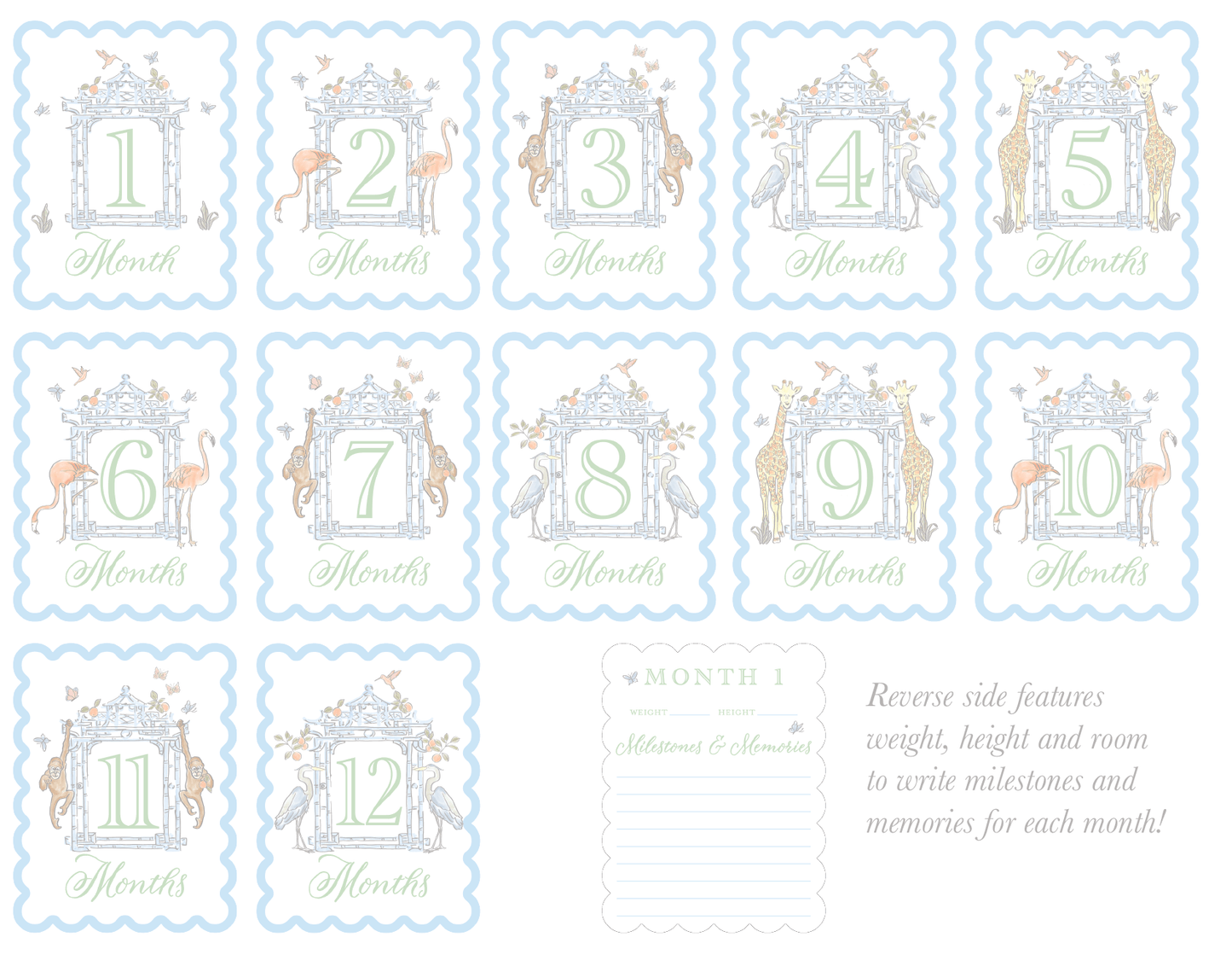 Watercolor Baby Milestone Cards - themonogram manor 