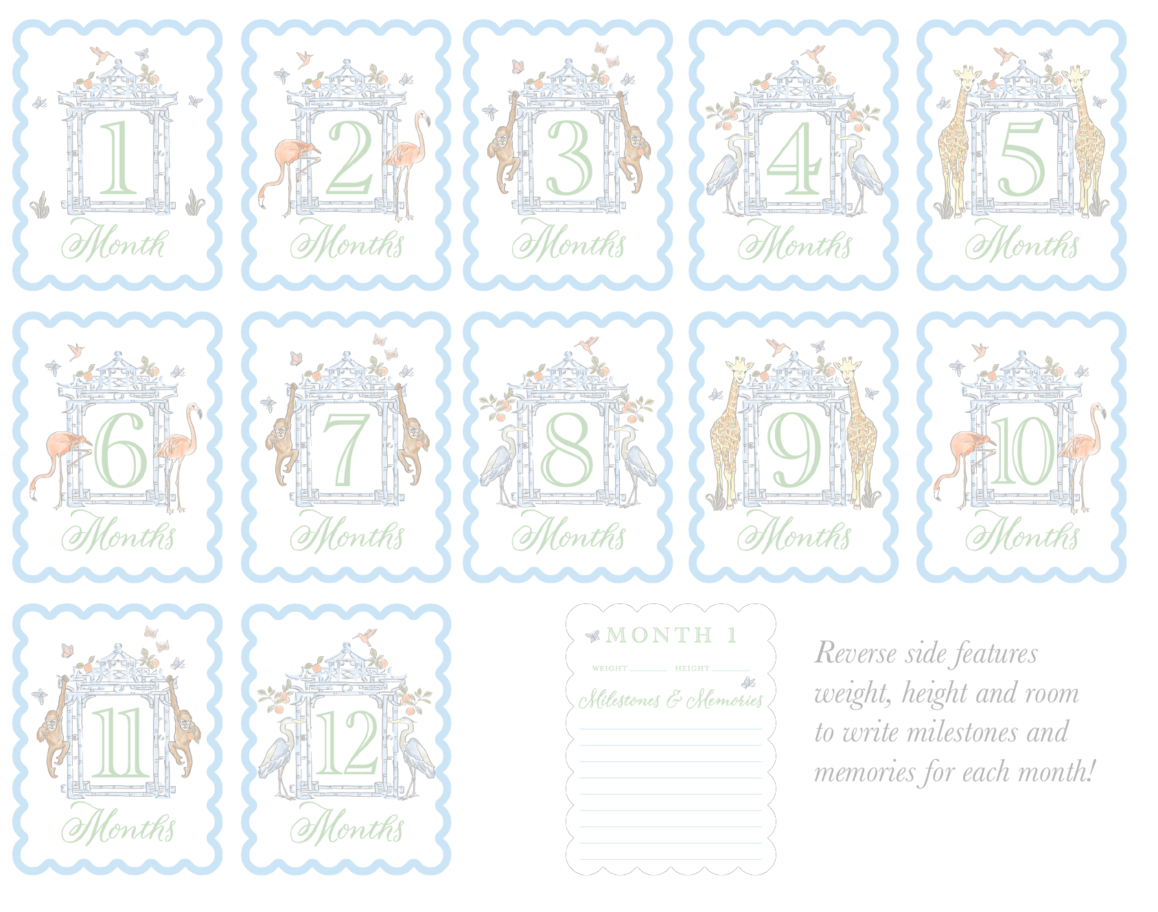 Watercolor Baby Milestone Cards - themonogram manor 