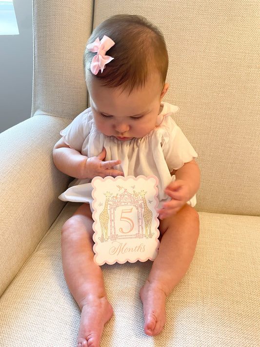 Watercolor Baby Milestone Cards - themonogram manor 