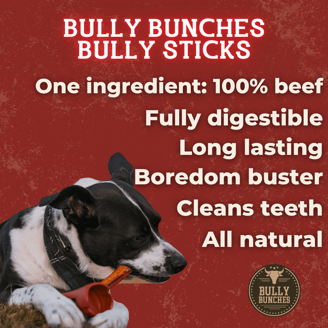 12 Inch Standard Bully Stick - themonogram manor 