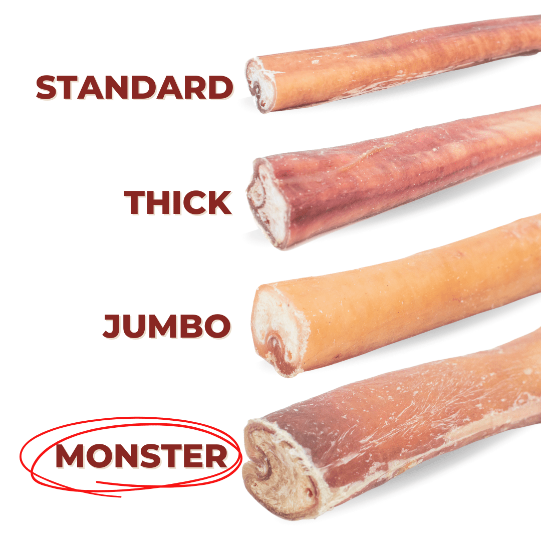 6 Inch Monster Bully Stick - themonogram manor 
