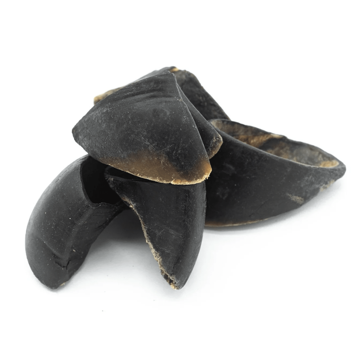 Cow Hooves - themonogram manor 