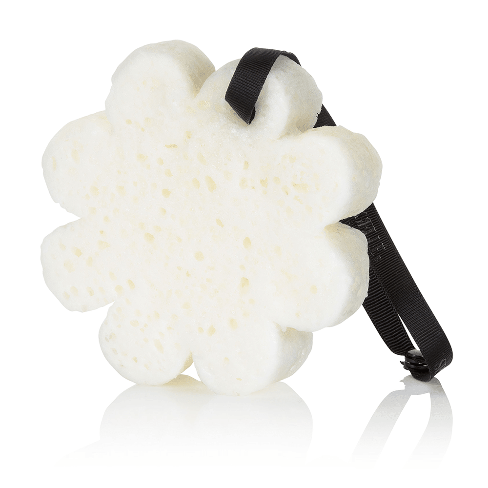 Tobacco Vanilla | Boxed Flower - themonogram manor 
