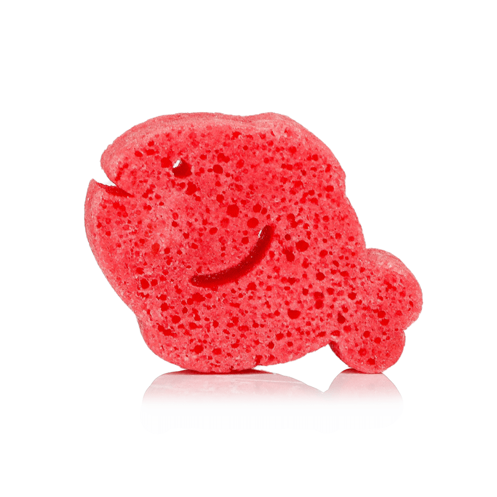 Fiona Fish | Sea Animals - themonogram manor 