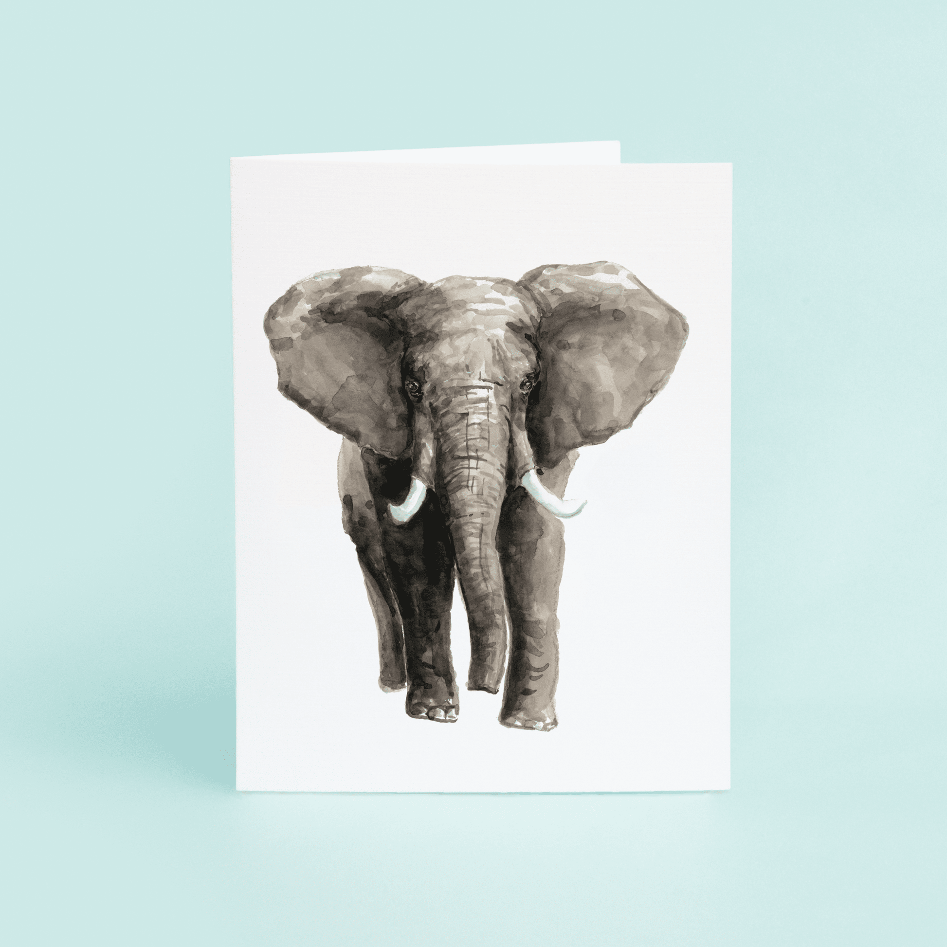 Elephant - themonogram manor 