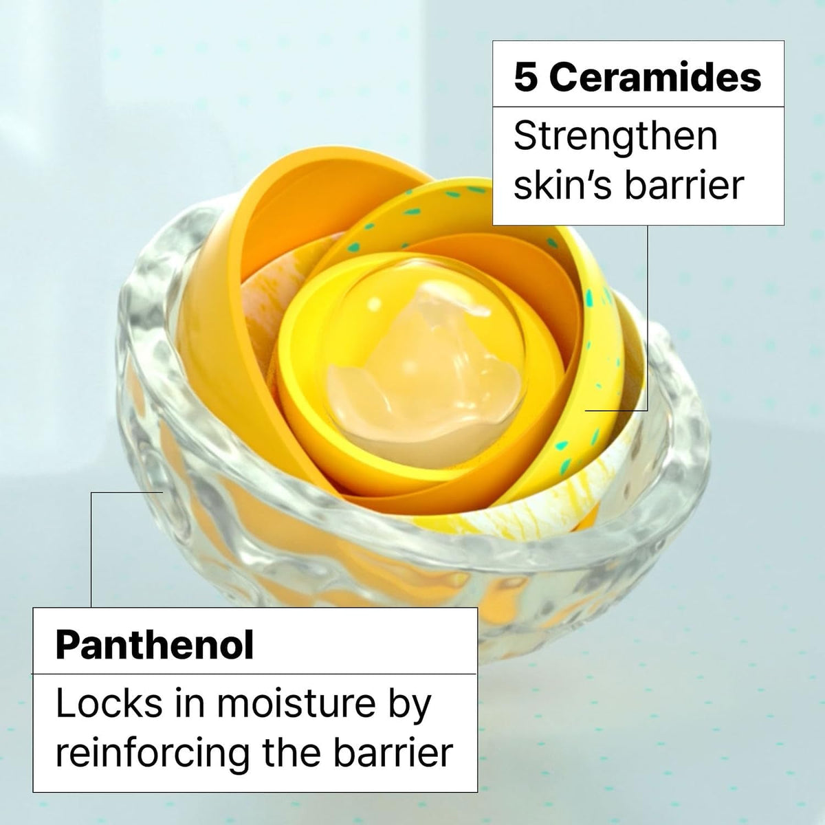 Ceramidin Skin Barrier Moisturizer Face Cream for Dry Skin with Ceramides and Panthenol | Korean Skin Care 2.53 Fl Oz - themonogram manor 