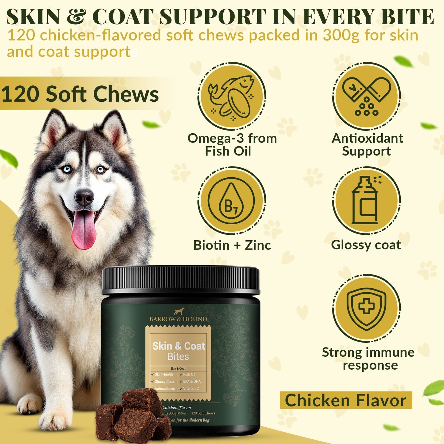 Skin & Coat Bites for Dogs – Shine, Strength & Allergy Relief