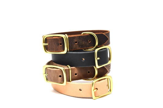 Full Leather Dog Collar